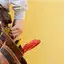 Handyman repair service in Tampa, FL for home fixes and improvements